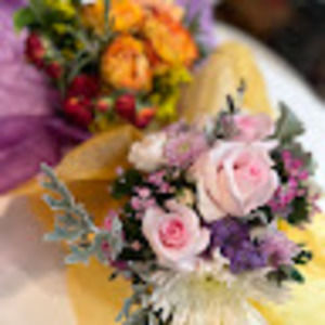 Meet your Posher, Helena dh